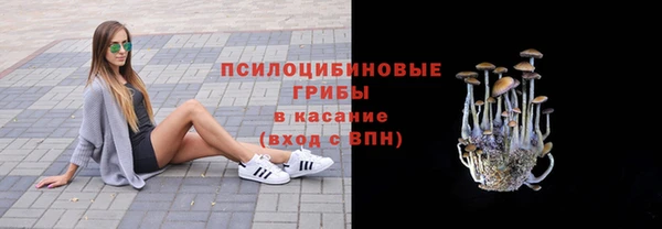 СК Горнозаводск