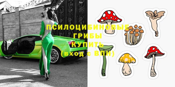 СК Горнозаводск