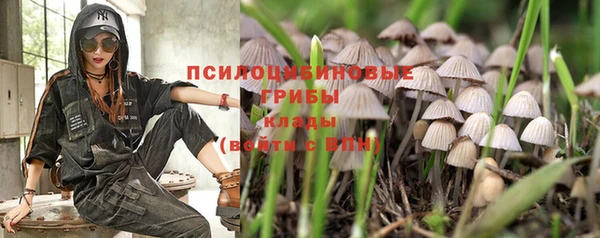 дурь Горно-Алтайск