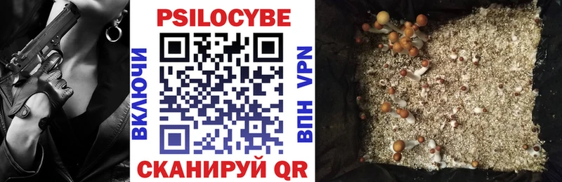 где купить   Новокузнецк  Галлюциногенные грибы MAGIC MUSHROOMS 